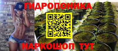 амф Нальчик